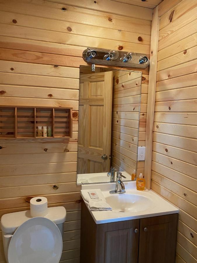 Bear Wood Cabin in Gatlinburg Exterior foto